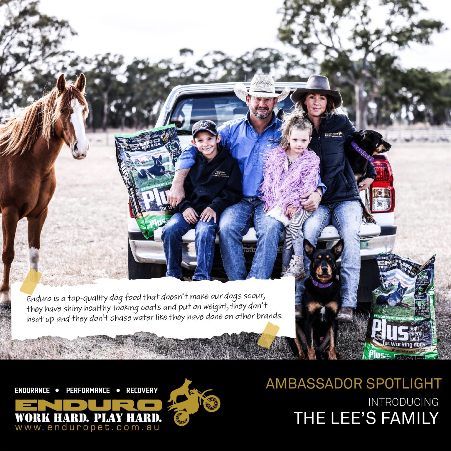 Ambassadors Enduro Pet